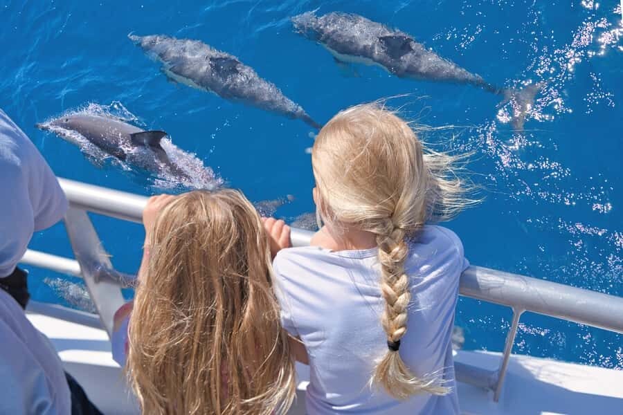Auckland: Tikapa Moana Whales, Dolphins and Islands Cruise - Key things I’d plan around