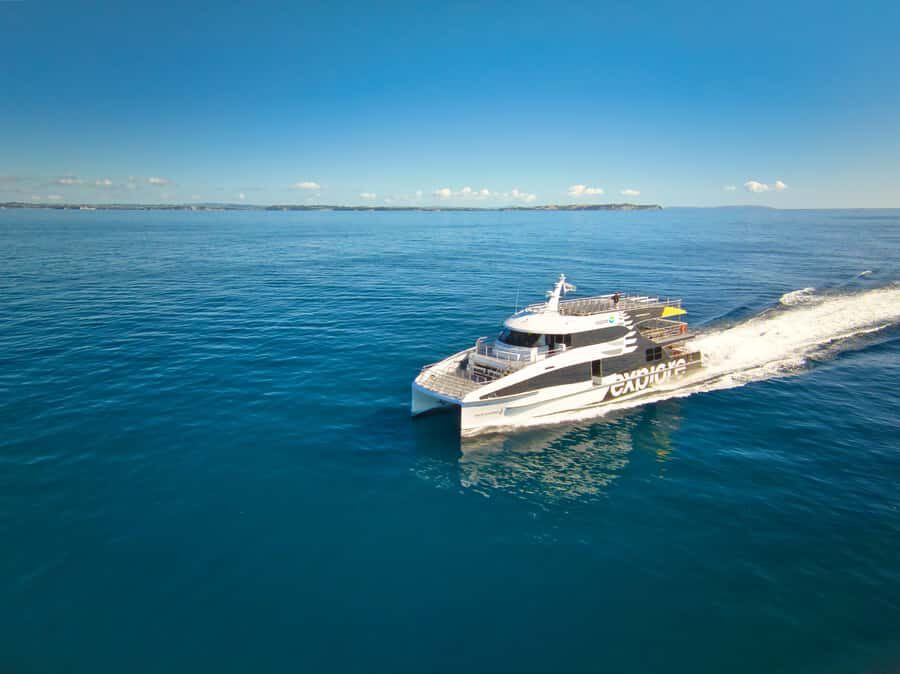 Auckland: Tikapa Moana Whales, Dolphins and Islands Cruise - Island Stop Choice: Rotoroa Island vs Man O’ War Vineyards