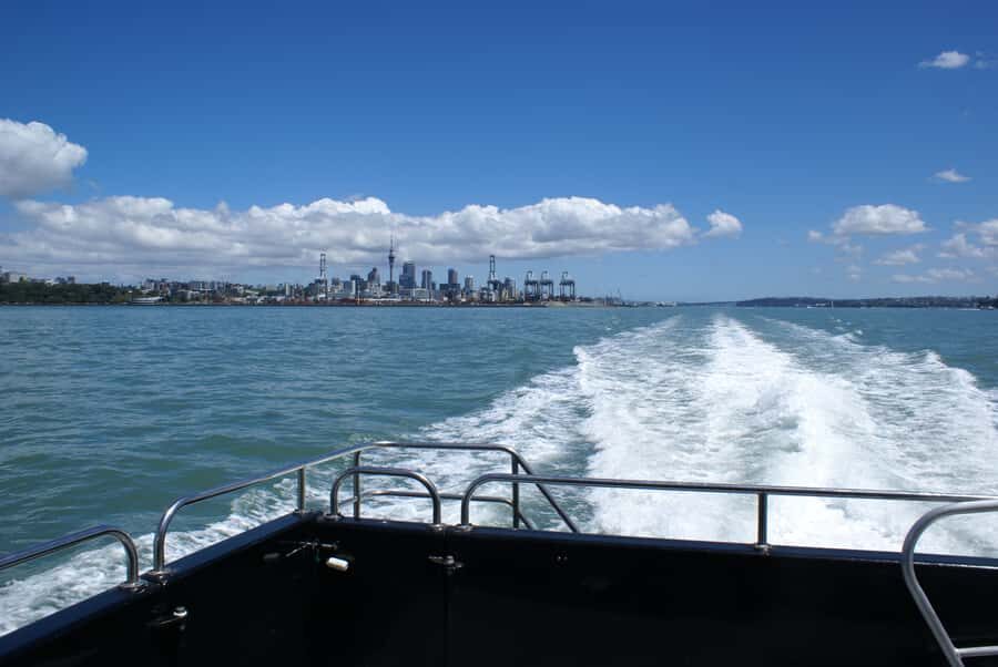 Auckland: Tikapa Moana Whales, Dolphins and Islands Cruise - Tāmaki Makaurau Stories and Conservation Notes You’ll Actually Remember