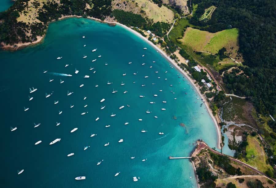 Auckland: Tikapa Moana Whales, Dolphins and Islands Cruise - Who Should Book This Cruise (and Who Might Skip It)