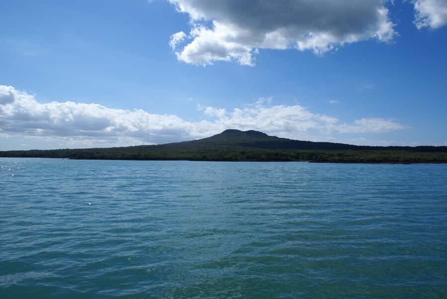 Auckland: Tikapa Moana Whales, Dolphins and Islands Cruise - Should You Book Tikapa Moana Whales, Dolphins and Islands?