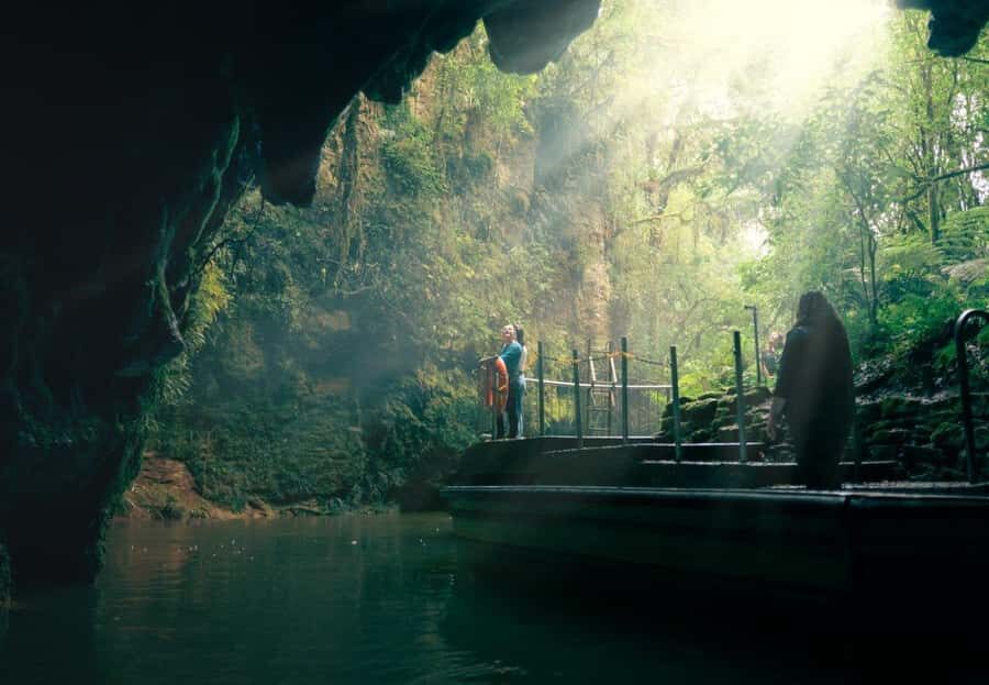 Auckland: Waitomo Caves & Rotorua - Te Puia Small-Group Tour - How the Auckland-to-Rotorua day stays fun (even when it’s long)