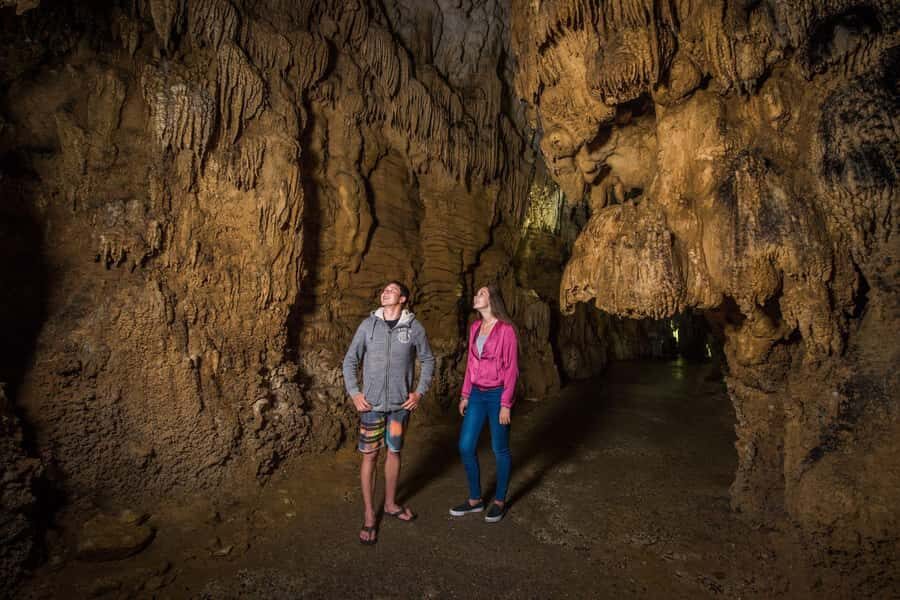 Auckland: Waitomo Caves & Rotorua - Te Puia Small-Group Tour - Timing and food reality: plan for snacks, not a full lunch
