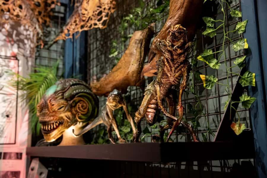 Auckland: Wētā Workshop Unleashed Guided Tour Ticket - Photo moments, the Wētā Cave retail browse, and how to plan your time
