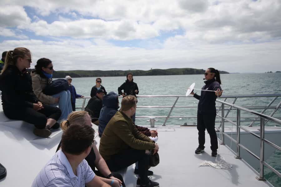 Auckland: Whale and Dolphin Watching Half-Day Eco Cruise - Key Points to Know Before You Go