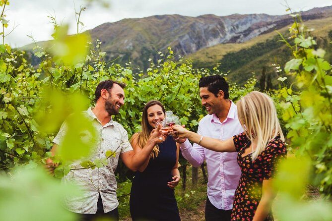 Award Winning Premium Wine Tour Queenstown Tasting at 4 Wineries - Key Things That Make This Queenstown Wine Tour Work