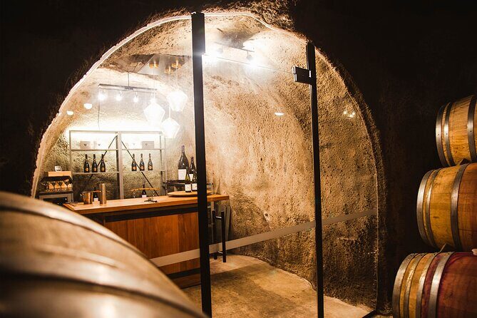 Award Winning Premium Wine Tour Queenstown Tasting at 4 Wineries - A Premium Day in Gibbston Valley: What the Timing Really Means