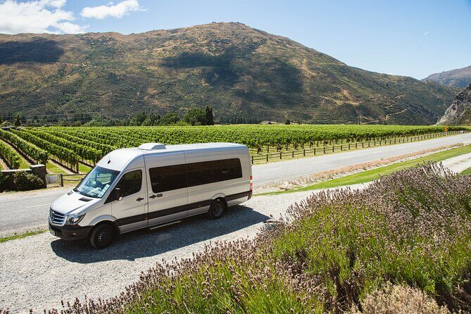 Award Winning Premium Wine Tour Queenstown Tasting at 4 Wineries - Guides, Group Energy, and Why This Tour Gets 5-Star Feedback