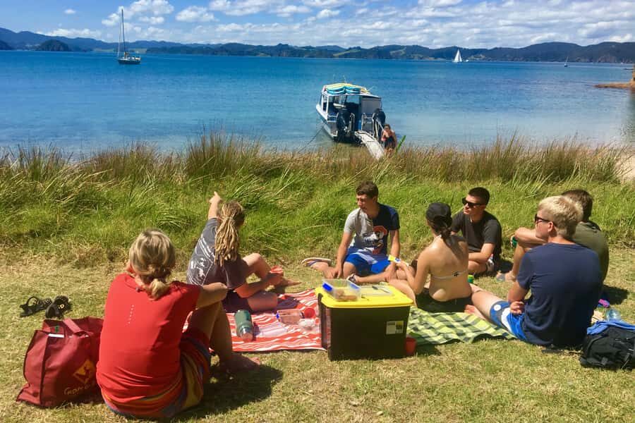 Bay of Islands: 4.5 Hour Day Cruise and Island Getaway Tour - Pricing and value: is $90 really fair for this half-day?