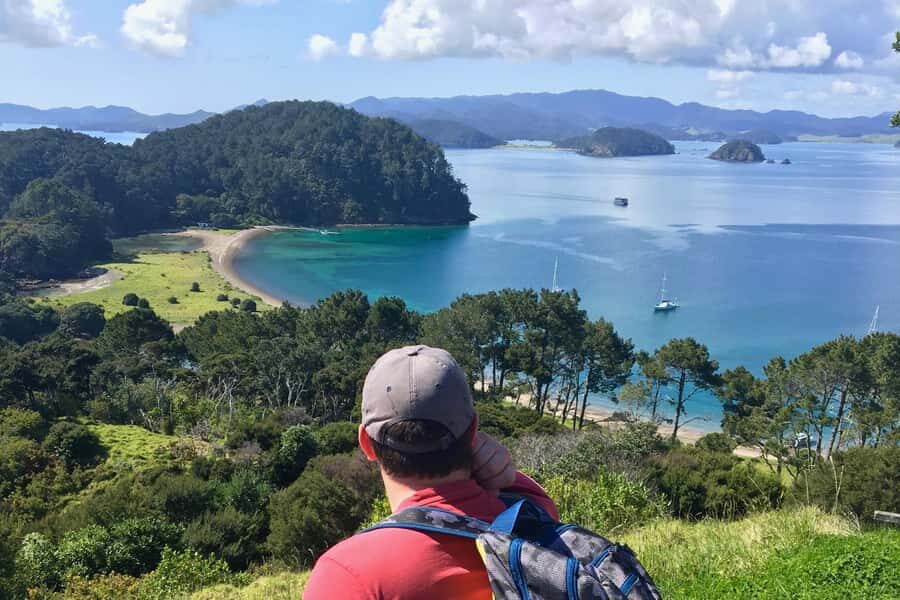 Bay of Islands: 4.5 Hour Day Cruise and Island Getaway Tour - Wildlife sightings: what to watch for and how to spot it