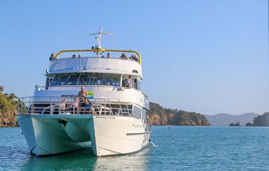 Bay of Islands: Discover the Bay Cruise with Island Lunch - Wildlife odds: dolphins, whales, seals, and birds