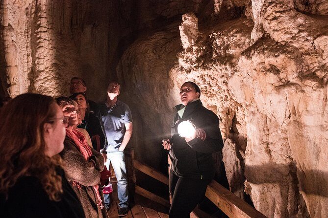 Bay of Islands Glow Worm Caves & Scenic Shore Excursion - Bay of Islands in 5½ hours: why this shore trip works