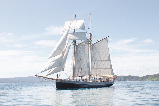 Bay of Islands Glow Worm Caves & Scenic Shore Excursion - Guides, pacing, and comfort inside the vehicle