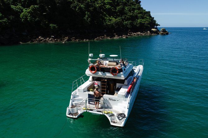 Best Abel Tasman Day trip - Quick hits before you commit
