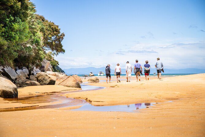 Best Abel Tasman Day trip - The wildlife angle: fur seals, penguins, dolphins, and the fun of not knowing