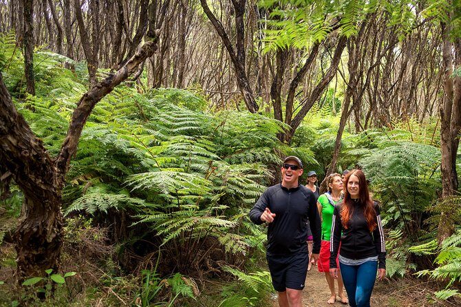 Best Abel Tasman Day trip - Abel Tasman Coast Track: the Pitt Head loop and Te Pukatea Bay views