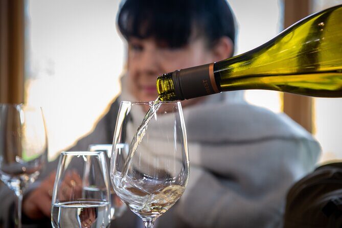 Beyond the Vines - Full-Day Marlborough Wine Tasting Tour - Marlborough in One Day: How the 6-Hour Schedule Really Works