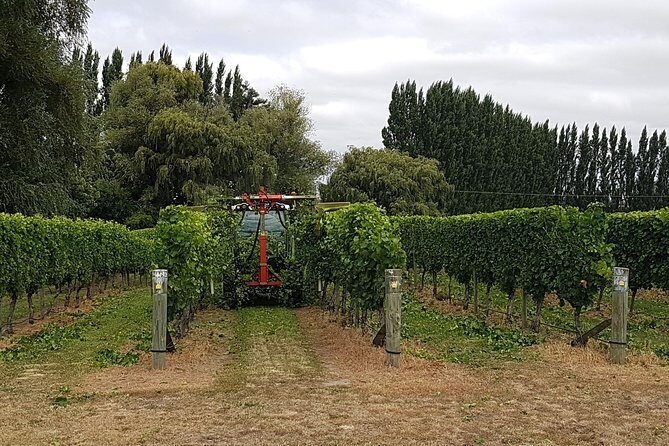 Beyond the Vines - Full-Day Marlborough Wine Tasting Tour - Price and Value at $136.53: What You’re Paying For