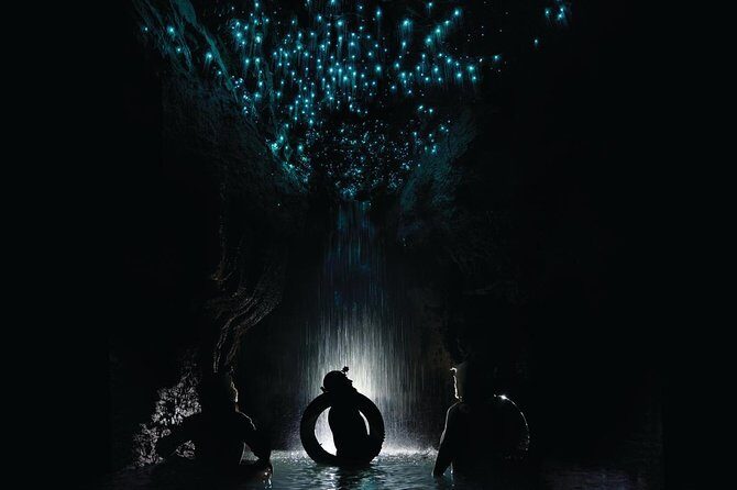 Black Water Rafting Experience Waitomo Caves Tour - Key things to know before you go