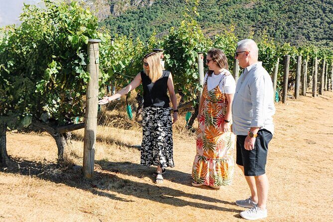 Boutique Wine Tour - visit Central Otago, 4 Wineries & Lunch - The guide factor: when stories and humor make the wine stick