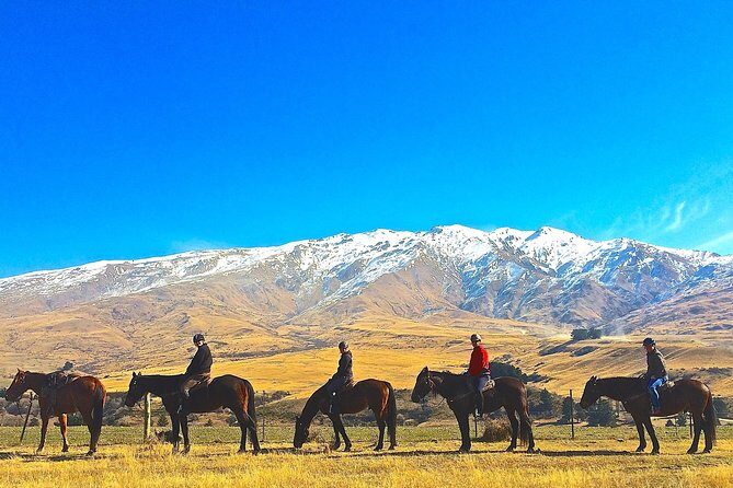 Cardrona High Country Pub Trail Horse Trek (Intermediate level+) - What riding on this trek is really like
