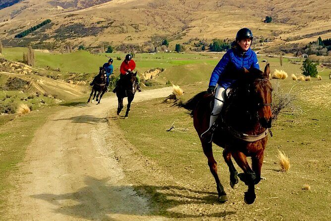 Cardrona High Country Pub Trail Horse Trek (Intermediate level+) - Horses, helmets, and the guides who keep things safe
