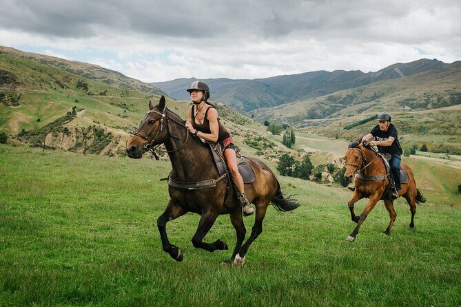 Cardrona High Country Pub Trail Horse Trek (Intermediate level+) - Price and value: what $433.78 buys you
