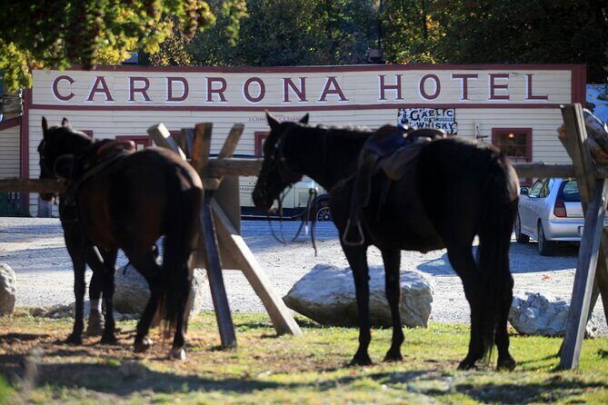 Cardrona High Country Pub Trail Horse Trek (Intermediate level+) - Timing, meeting point, and getting ready to ride