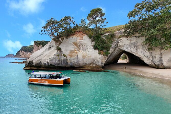 Cathedral Cove Coast and Cave Activity - Key things to know before you go