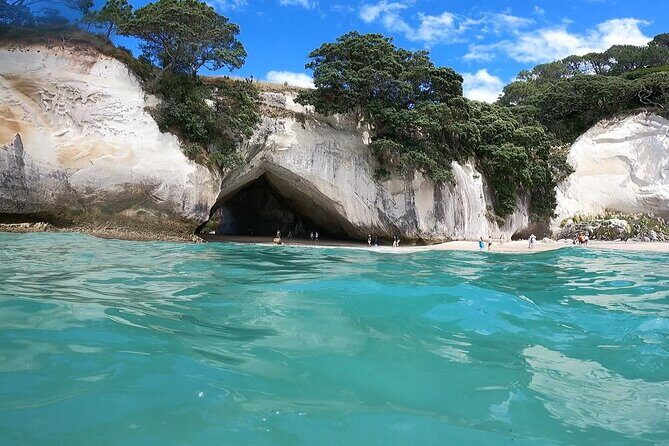 Cathedral Cove & Coromandel Peninsula Small-Group Day Tours - Key things you’ll care about
