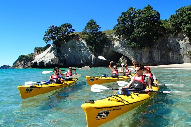Cathedral Cove Kayak Tour - Key Highlights You’ll Care About