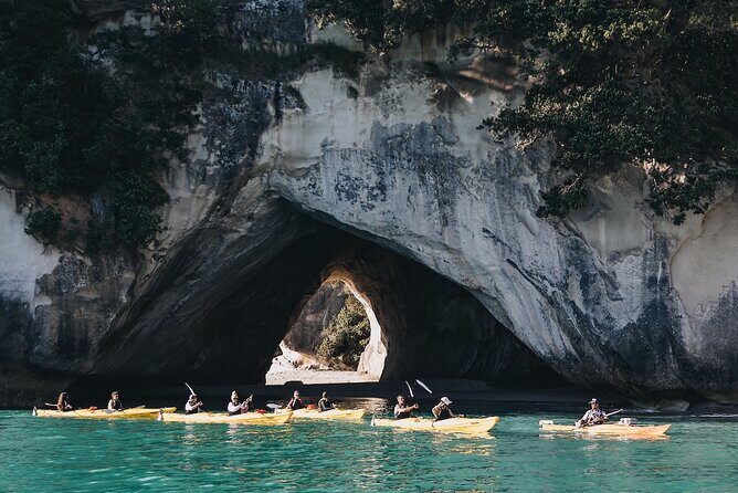 Cathedral Cove Kayak Tour - Cathedral Cove by Kayak: Why It’s Worth the Paddle