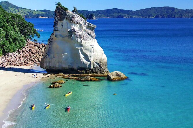 Cathedral Cove Kayak Tour - Cathedral Cove Beach Time: Cappuccinos, Hot Chocolate, and Cookies