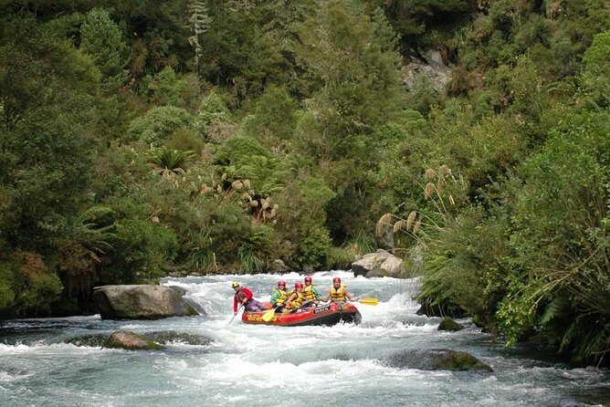 Cathedral Cove Kayak Tour - Who Should Book This Cathedral Cove Kayak Tour