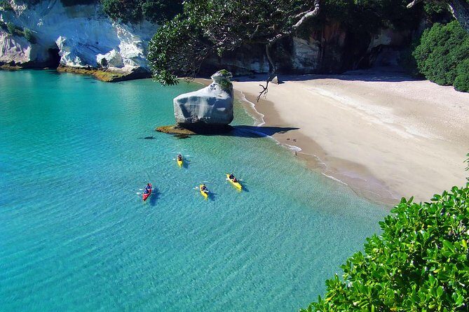 Cathedral Cove Kayak Tour - Hahei Beach Meeting Point: The Start That Sets the Tone