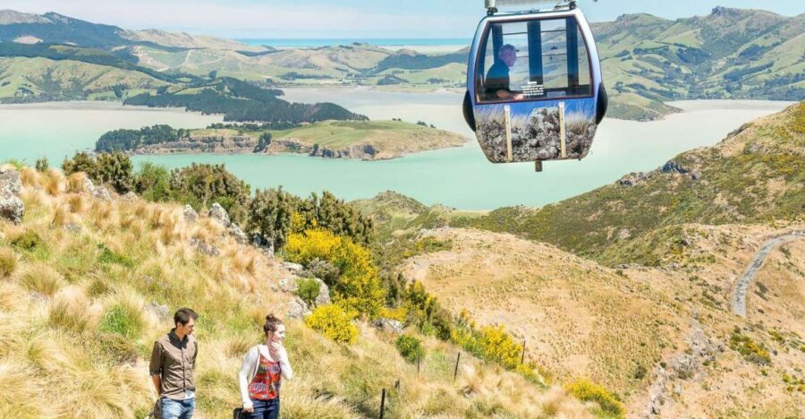 Christchurch Gondola and Tram City Tour Combo - Timing tips: how to pace a full-day loop without stress