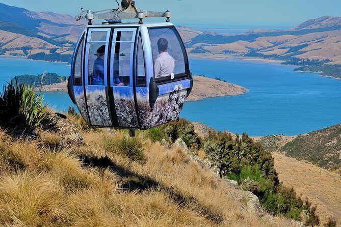 Christchurch Gondola Ride Ticket - Key Things I’d Prioritize Before You Go