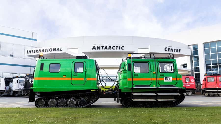 Christchurch International Antarctic Centre Entry Tickets - Little Blue Penguins: Close-Up Viewing with a Rescue Story