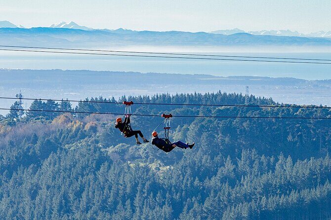 Christchurch Zipline Tour - The after-ride free time: forested park space to cool down