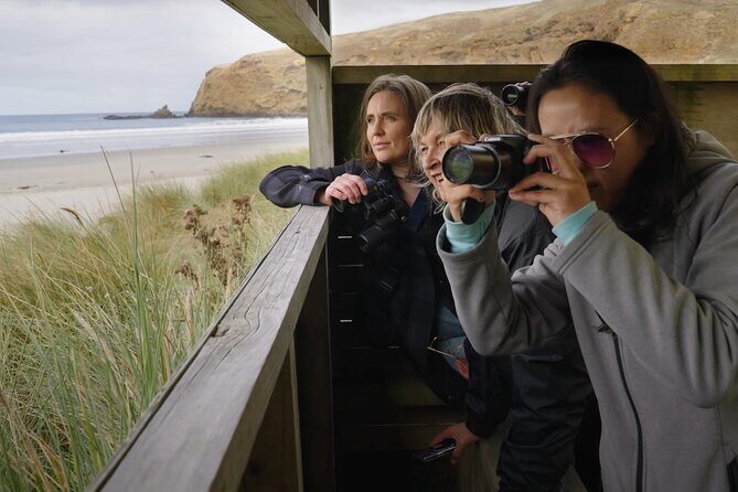 Clearwater Wildlife Tours (small group 10max) Otago Peninsula - What you might spot besides penguins and seals