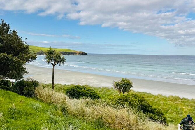 Clearwater Wildlife Tours (small group 10max) Otago Peninsula - How much walking and climbing is involved (and how to prep)