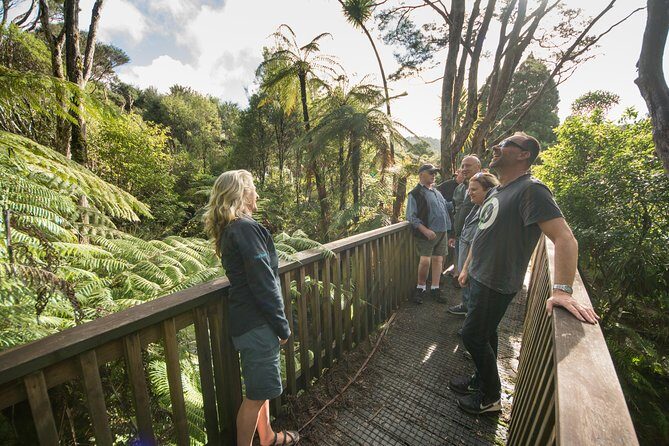 Coast and Rainforest Eco-Tour from Auckland with Picnic Lunch - Mercer Bay Loop clifftop tracks: where the stairs earn their pay