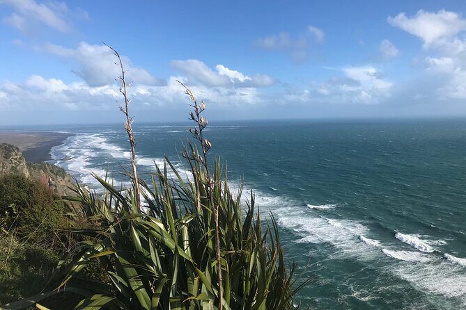 Coast and Rainforest Eco-Tour from Auckland with Picnic Lunch - Piha Beach black sand: the coast moment you remember