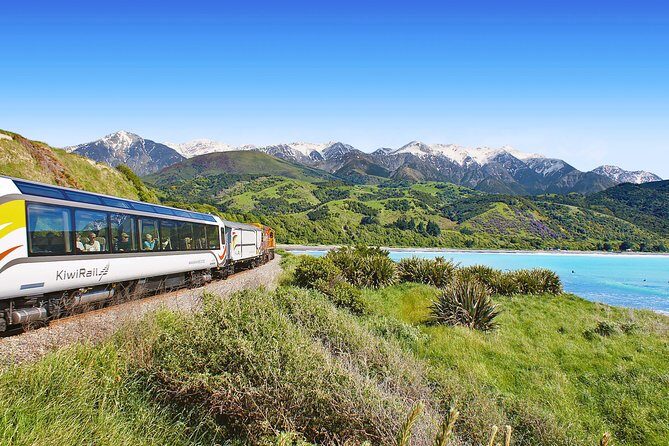 Coastal Pacific Train Journey from Picton to Christchurch - Seats, windows, and the open-air deck: your photo strategy