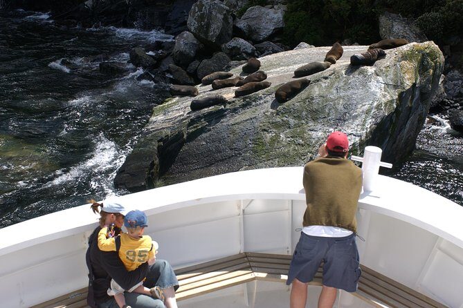 Cruise Milford NZ Small Boutique Cruise Experience - The Milford Sound experience: weather doesn’t ruin it