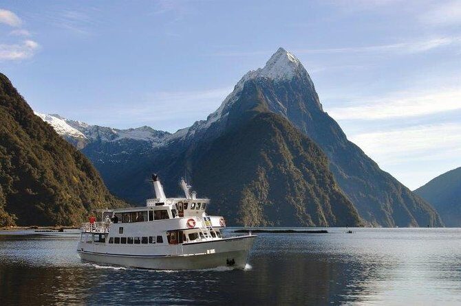 Cruise Milford NZ Small Boutique Cruise Experience - Wildlife spotting: fur seals, dolphins, and penguins