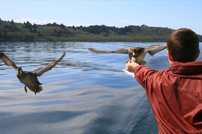 Daily Scenic Maori Rock Carving Cruise Taupo - Lake Taupō cruise to the Māori Rock Carvings: what this really delivers