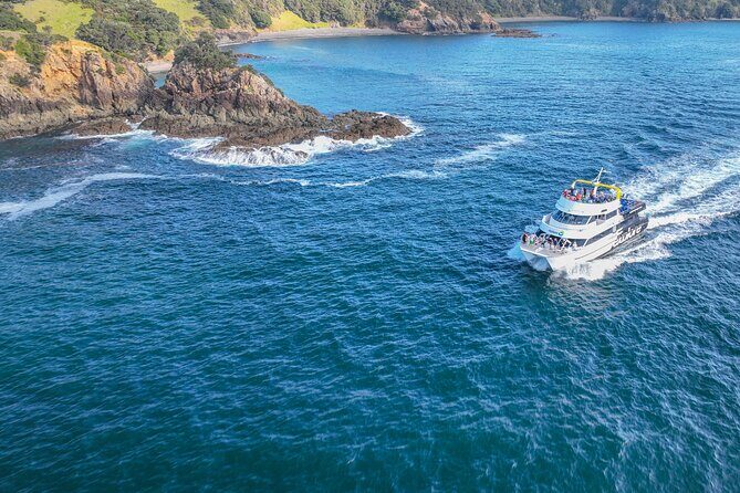 Discover the Bay - Hole in the Rock cruise includes Island Lunch - Pier 5 to the action: how the day starts in Paihia