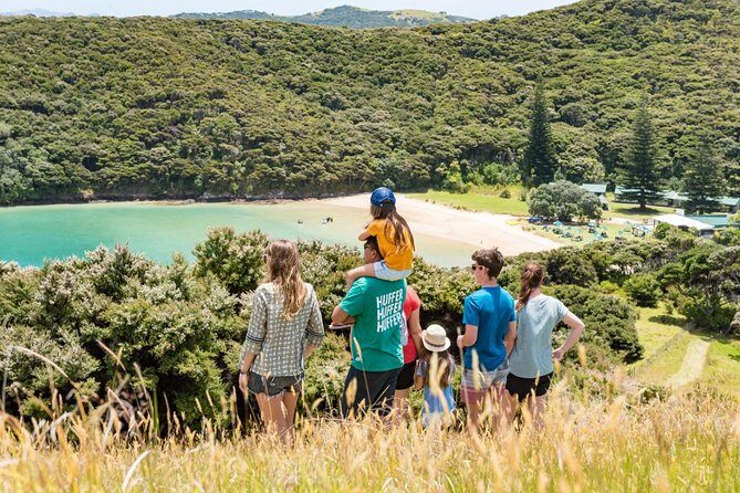Discover the Bay - Hole in the Rock cruise includes Island Lunch - Price and included value: what you get for $117.91