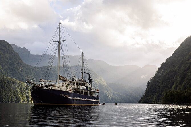 Doubtful Sound Overnight Cruise - Quick hits before you go